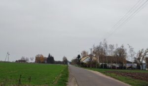 IMG_20221112_121638