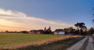 IMG_20221020_172716