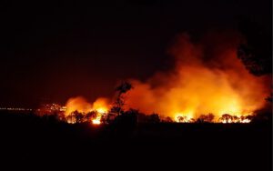 fire-g5e876415c_640