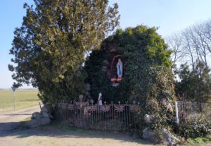 IMG_20210310_110208-001