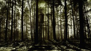 horror-geff19a938_640
