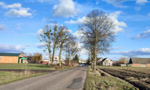 IMG_20230316_161722