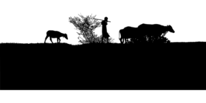 shepherd-gd474b6c09_640