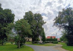 IMG_20250731_123242-001