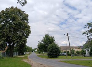 IMG_20250731_123413-001
