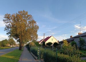 IMG_20250920_175043