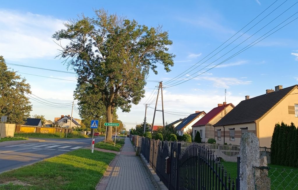 IMG_20250920_175418-001