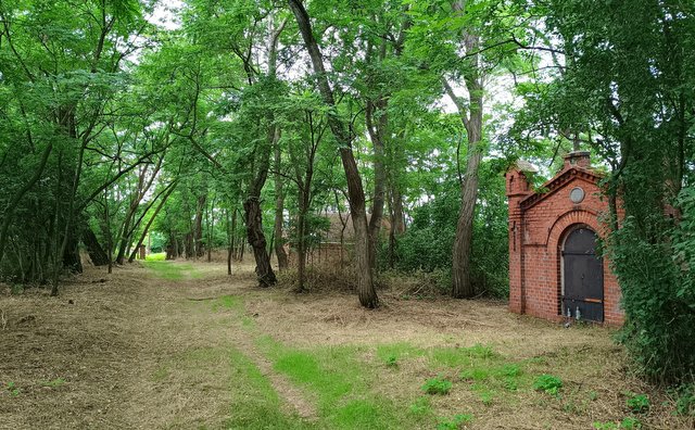 Fot. Cmentarz w Gurowie.