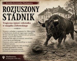 Rozjuszony byk